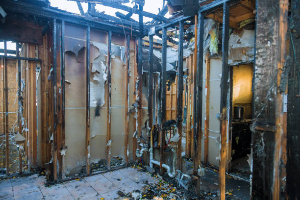 Professional Fire Damage Removal technician working in Rogers, MN