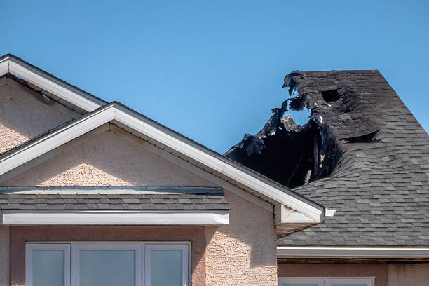 Top rated local Fire Damage Removal specialists in Rogers, MN